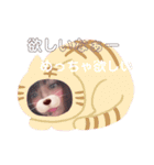 YPNEL第二弾（個別スタンプ：14）