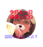 YPNEL第二弾（個別スタンプ：15）