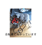 にゃんこファミリーnyanko（個別スタンプ：7）