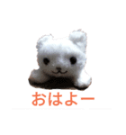 おさしみスタンプ（個別スタンプ：2）
