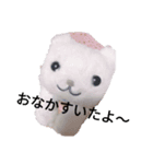おさしみスタンプ（個別スタンプ：6）
