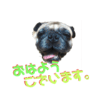 フレブルきちょたんと お市（個別スタンプ：1）