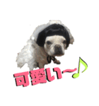 フレブルきちょたんと お市（個別スタンプ：9）