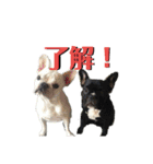 フレブルきちょたんと お市（個別スタンプ：10）