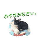フレブルきちょたんと お市（個別スタンプ：11）