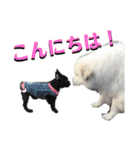 フレブルきちょたんと お市（個別スタンプ：12）