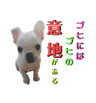 フレブルきちょたんと お市（個別スタンプ：15）