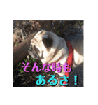 フレブルきちょたんと お市（個別スタンプ：17）