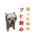 フレブルきちょたんと お市（個別スタンプ：18）