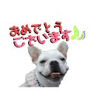 フレブルきちょたんと お市（個別スタンプ：20）