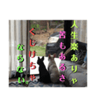 フレブルきちょたんと お市（個別スタンプ：23）