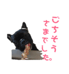 フレブルきちょたんと お市（個別スタンプ：24）