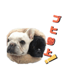 フレブルきちょたんと お市（個別スタンプ：26）