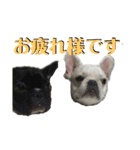 フレブルきちょたんと お市（個別スタンプ：28）