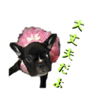 フレブルきちょたんと お市（個別スタンプ：31）