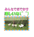 フレブルきちょたんと お市（個別スタンプ：32）