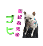 フレブルきちょたんと お市（個別スタンプ：35）
