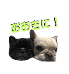 フレブルきちょたんと お市（個別スタンプ：37）