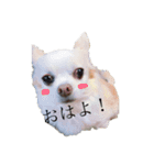 うちのエース。（個別スタンプ：7）