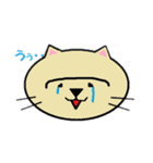 えむねこファミリースタンプ（個別スタンプ：1）
