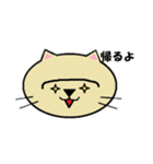 えむねこファミリースタンプ（個別スタンプ：16）