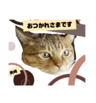 矢﨑 3 無難な矢﨑（個別スタンプ：3）