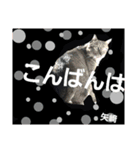 矢﨑 3 無難な矢﨑（個別スタンプ：4）
