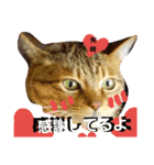 矢﨑 3 無難な矢﨑（個別スタンプ：5）