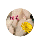 今日のごはんI（個別スタンプ：40）