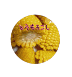 今日のご飯②（個別スタンプ：19）