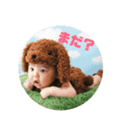 R96スタンプ（個別スタンプ：1）