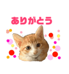 ルミオ（個別スタンプ：6）