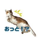 ルミオ（個別スタンプ：10）