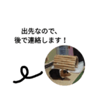 モルモットのモコ5（個別スタンプ：14）