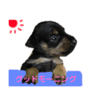 来夢の一日（個別スタンプ：4）
