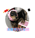 来夢の一日（個別スタンプ：15）