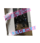 来夢の一日（個別スタンプ：20）