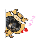 来夢の一日（個別スタンプ：21）