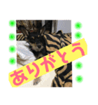 来夢の一日（個別スタンプ：24）