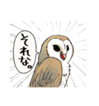 ヒスモンの愉快な仲間たち（個別スタンプ：13）