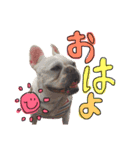 フレンチブルドッグの美々～日常言葉～（個別スタンプ：2）