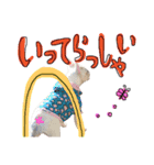 フレンチブルドッグの美々～日常言葉～（個別スタンプ：9）