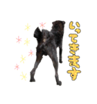 具志堅もちたか（個別スタンプ：3）