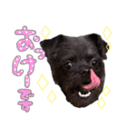 具志堅もちたか（個別スタンプ：9）