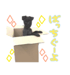 具志堅もちたか（個別スタンプ：10）