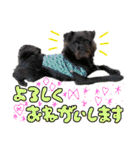 具志堅もちたか（個別スタンプ：12）