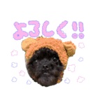 具志堅もちたか（個別スタンプ：13）