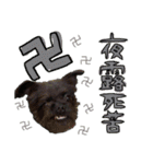 具志堅もちたか（個別スタンプ：14）