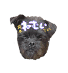 具志堅もちたか（個別スタンプ：20）