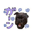 具志堅もちたか（個別スタンプ：27）